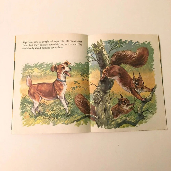 Vtg Zip and the Hedgehog Infant Series Book Robert Dallet Corlia - Picture 10 of 15